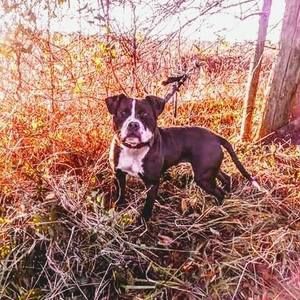 Meet your Posher, Ferrando